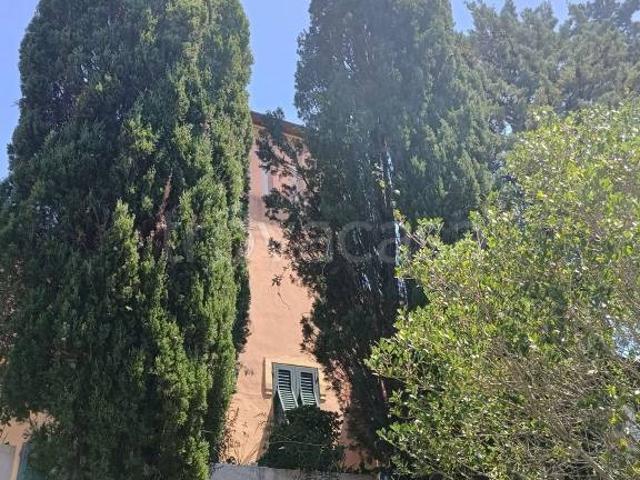 Villa Indipendente in vendita a Località Fontanelle, Rosignano Marittimo