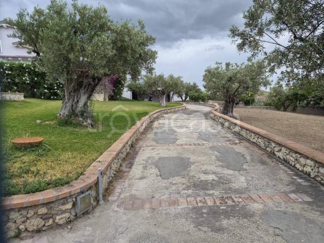 Villa Indipendente in vendita a Siano, Calabria
