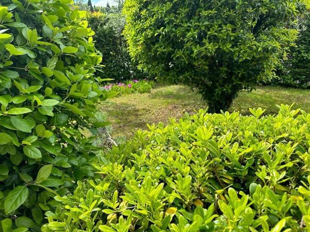 Villa Indipendente in vendita a Unione dei Comuni Circondario dell'Empolese Valdelsa, Cerreto Guidi