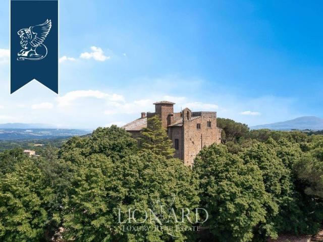 Villa Indipendente in vendita a Civitella D'agliano, Lazio
