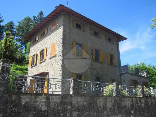 Villa Indipendente in vendita a Pelago, Firenze