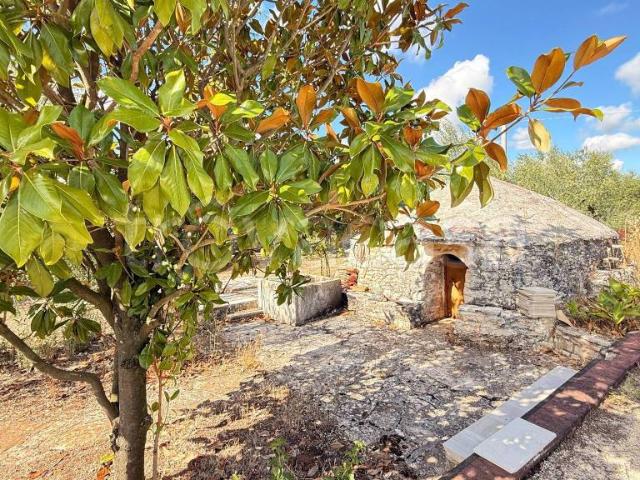 Villa Indipendente in vendita a Puglia, Bari