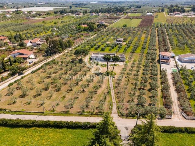 Villa Indipendente in vendita a Puglia, Bari