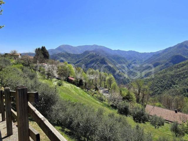 Villa Indipendente in vendita a Unione Comuni Garfagnana, Vergemoli