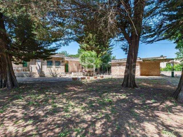 Villa Indipendente in vendita a Selva, Puglia
