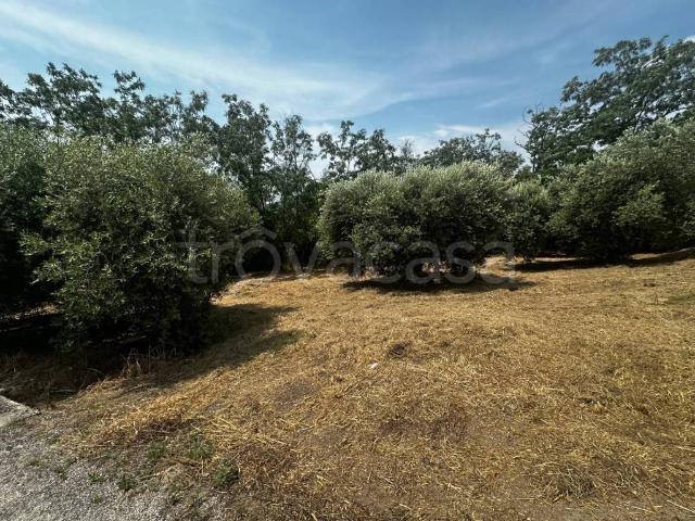 Villa Indipendente in vendita a Tirassegno, Marche