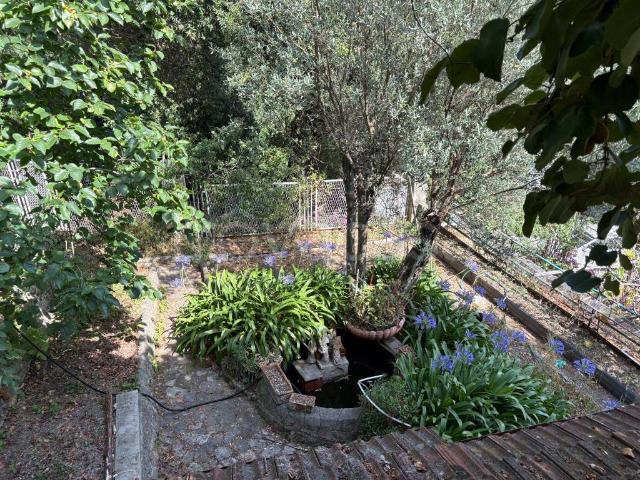 Villa Indipendente in vendita a Nuelo, Genova