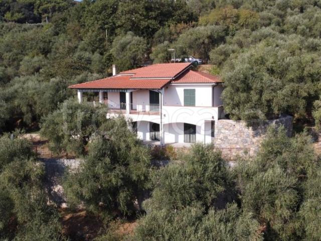 Villa Indipendente in vendita a Artallo, Imperia