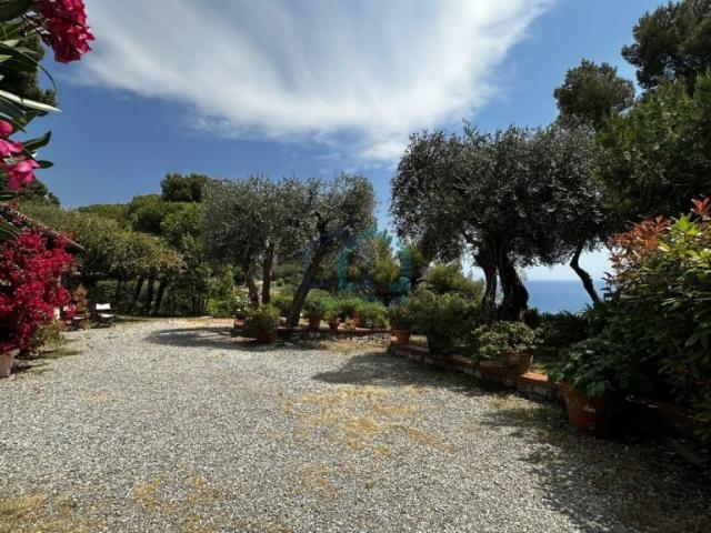 Villa Indipendente in vendita a Artallo, Imperia