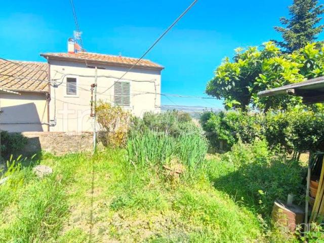 Villa Indipendente in vendita a Montiano, Magliano In Toscana