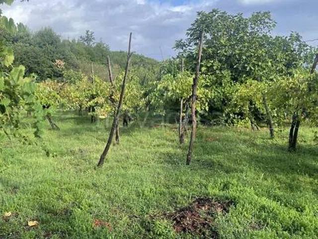 Villa Indipendente in vendita a Marzano Appio, Campania