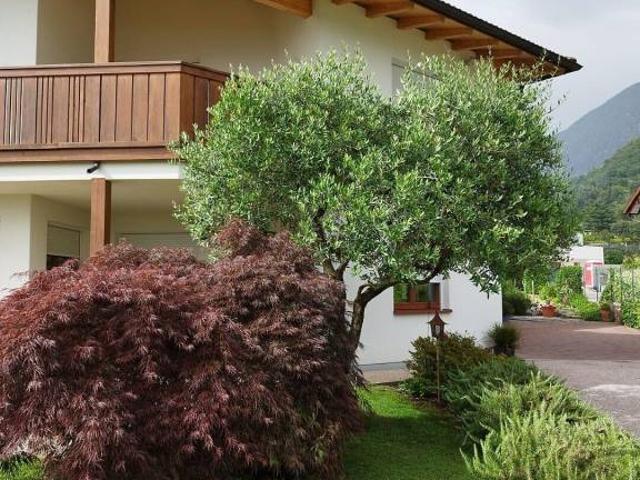 Villa Indipendente in vendita a Burggrafenamt - Burgraviato, Merano - Meran