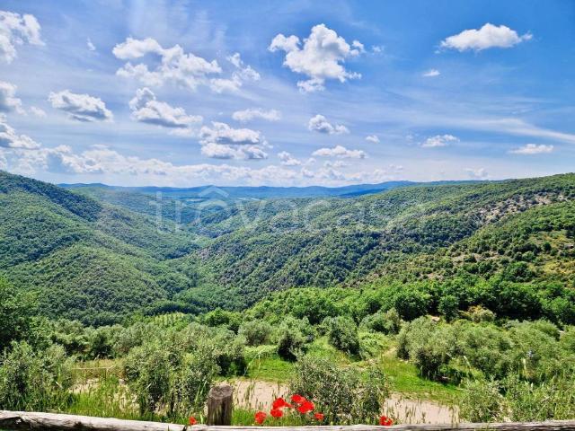 Villa Indipendente in vendita a Marsciano, Umbria