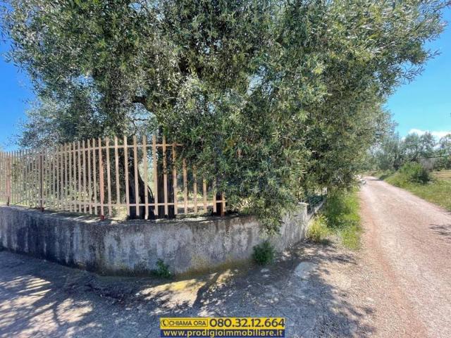 Villa Indipendente in vendita a Puglia, Bari