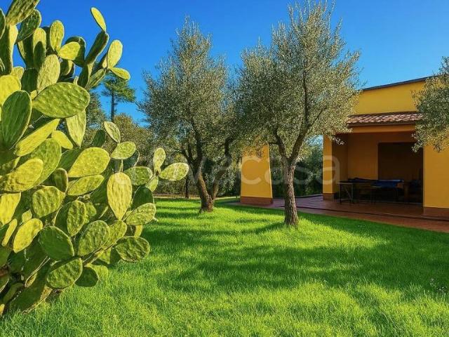Villa Indipendente in vendita a San Salvatore, Montecarlo