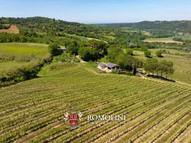 Villa Indipendente in vendita a Montescudaio, Pisa