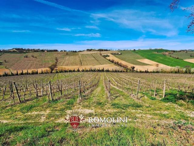 Villa Indipendente in vendita a Marche, Ancona