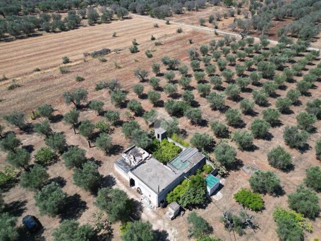 Villa Indipendente in vendita a Puglia, Brindisi