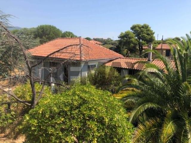 Villa Indipendente in vendita a Pedara, Sicilia