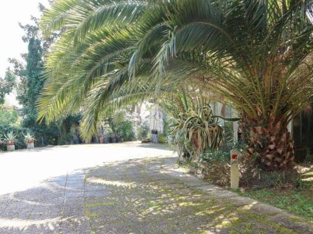 Villa Indipendente in vendita a Marche, Pesaro E Urbino