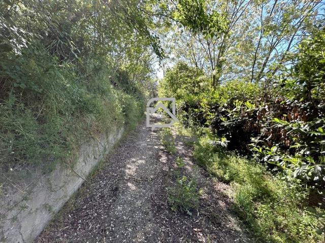 Villa Indipendente in vendita a Mirabella Eclano, Campania