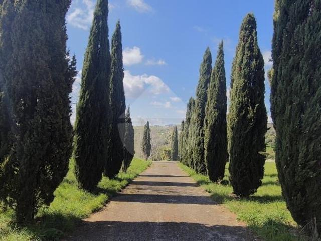 Villa Indipendente in vendita a Calabria, Vibo Valentia