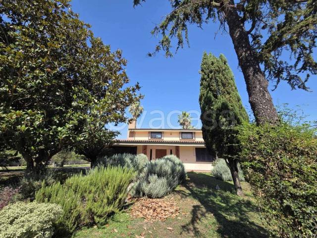 Villa Indipendente in vendita a Palma Campania, Campania