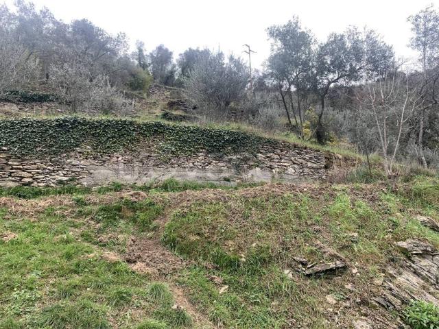 Villa Indipendente in vendita a Polanesi, Recco