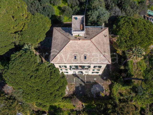 Villa Indipendente in vendita a Polanesi, Recco