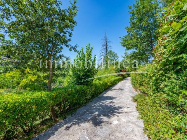 Villa Indipendente in vendita a San Zeno Di Montagna, Veneto