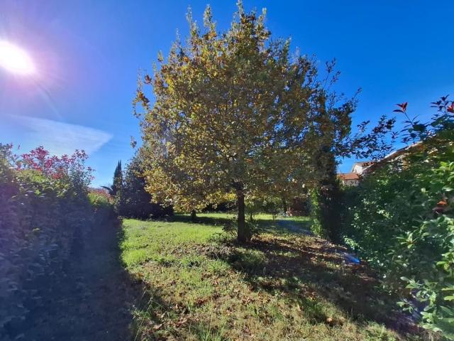 Villa Indipendente in vendita a Santa Croce Sull'arno, Toscana