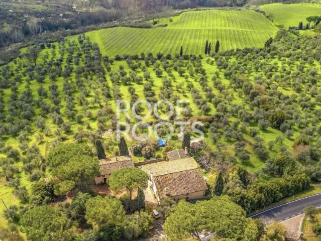 Villa Indipendente in vendita a San Martino alla Palma, Scandicci