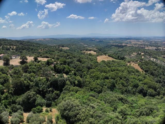Villa Indipendente in vendita a Montiano, Magliano In Toscana