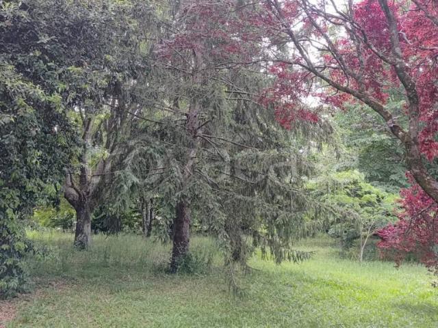 Villa Indipendente in vendita a Unione di Comuni Montani Colline del Fiora, Sorano