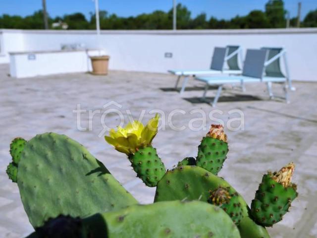 Villa Indipendente in vendita a Puglia, Lecce