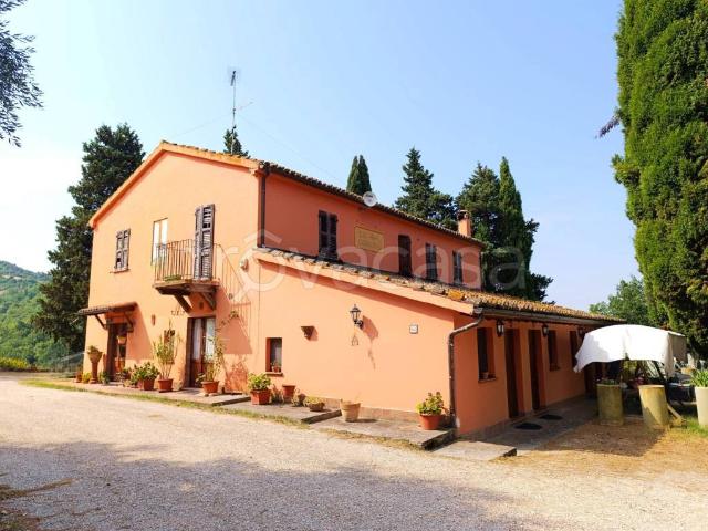 Villa Indipendente in vendita a Pieve di Cagna, Urbino
