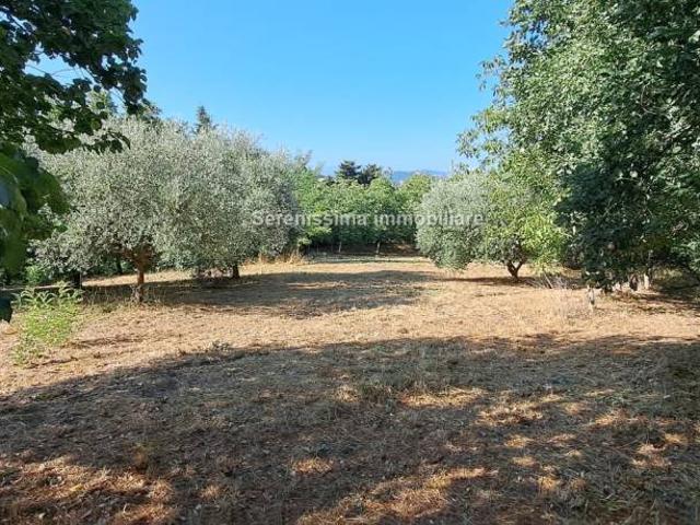 Villa Indipendente in vendita a Vallefoglia, Marche