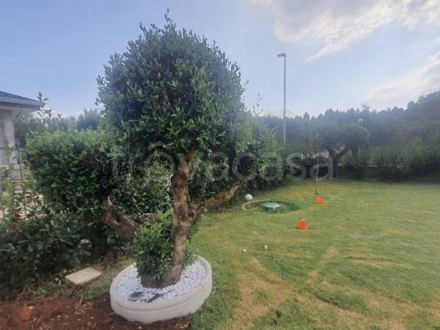 Villa Indipendente in vendita a Calabria, Vibo Valentia