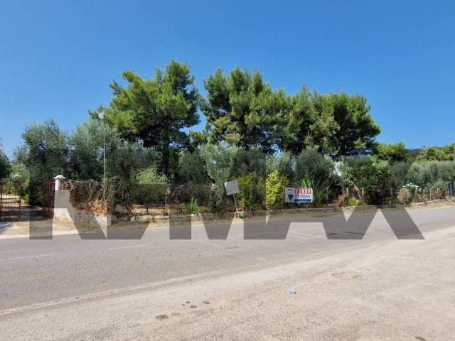 Villa Indipendente in vendita a Puglia, Foggia