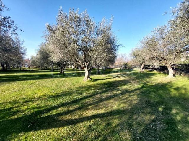 Villa Indipendente in vendita a Viterbo, Lazio
