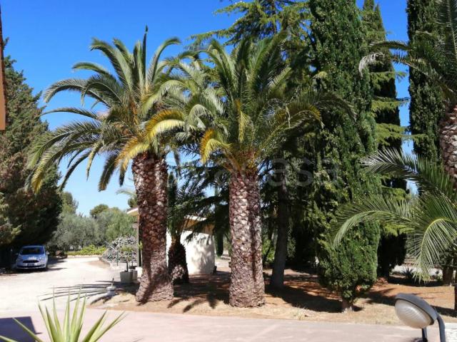 Villa Indipendente in vendita a Puglia, Barletta-andria-trani