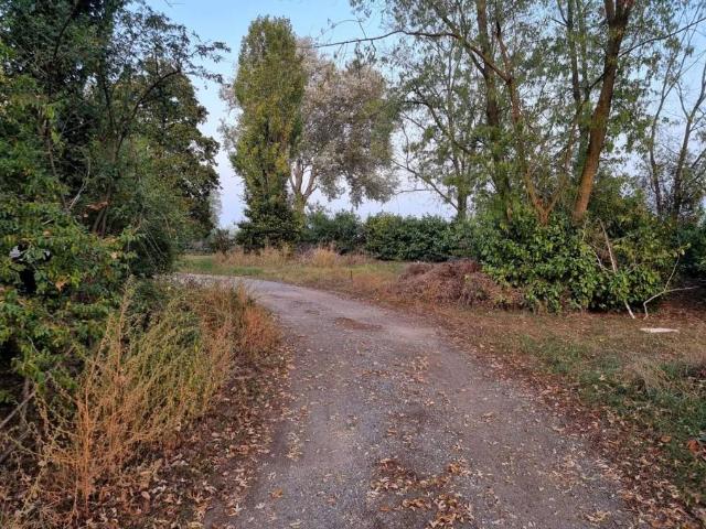 Villa Indipendente in vendita a Plessa, Arena Po