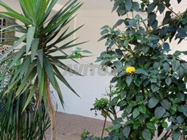 Propriété vente à Lyautey