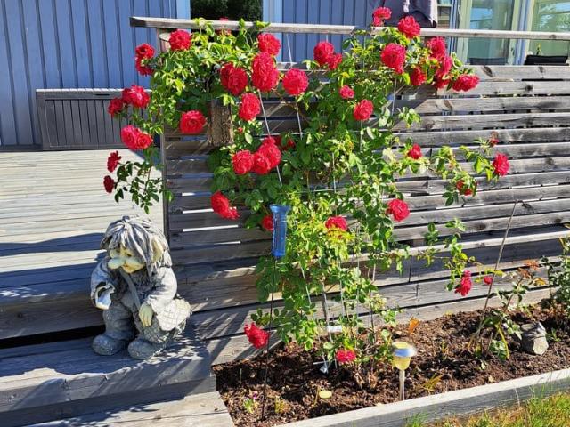 Villa till salu i Bro, Stockholm