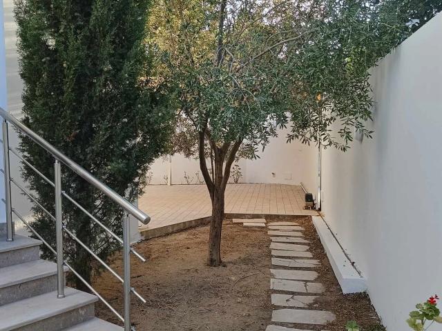 Villa location à Douz