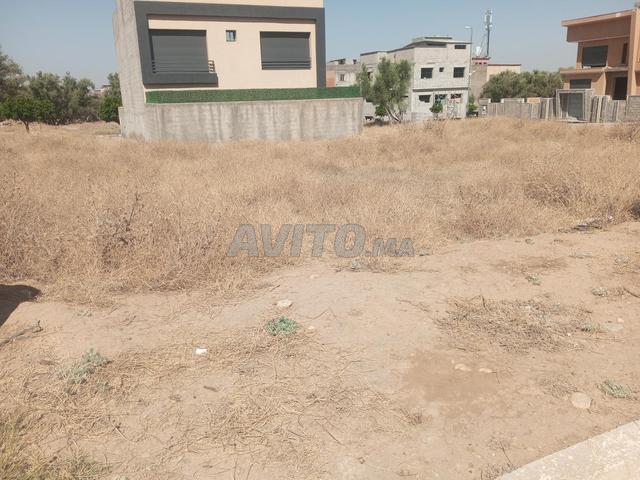 Propriété vente à Mellal