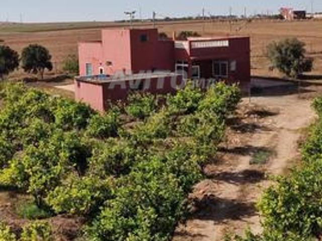 Propriété vente à El Ma, Gharb-Chrarda-Beni Hssen