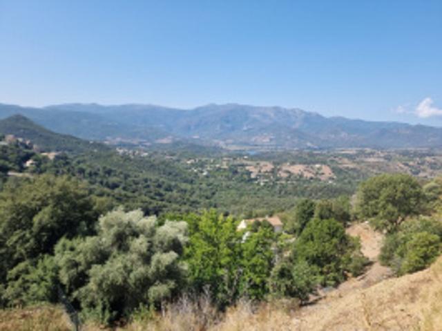 Villa vente à Calvi, Poggio-d'oletta