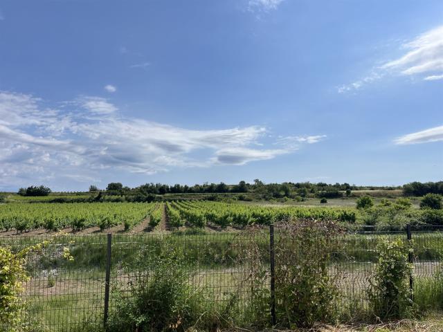 Maison vente à Béziers, Pézenas