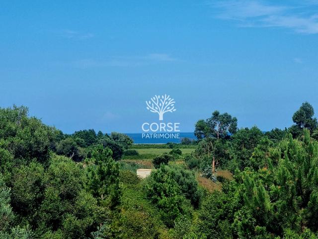 Villa vente à Corte, Solaro